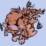 Avatar of kavvee