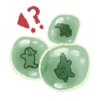 Thumbnail for GUP-784: turtle